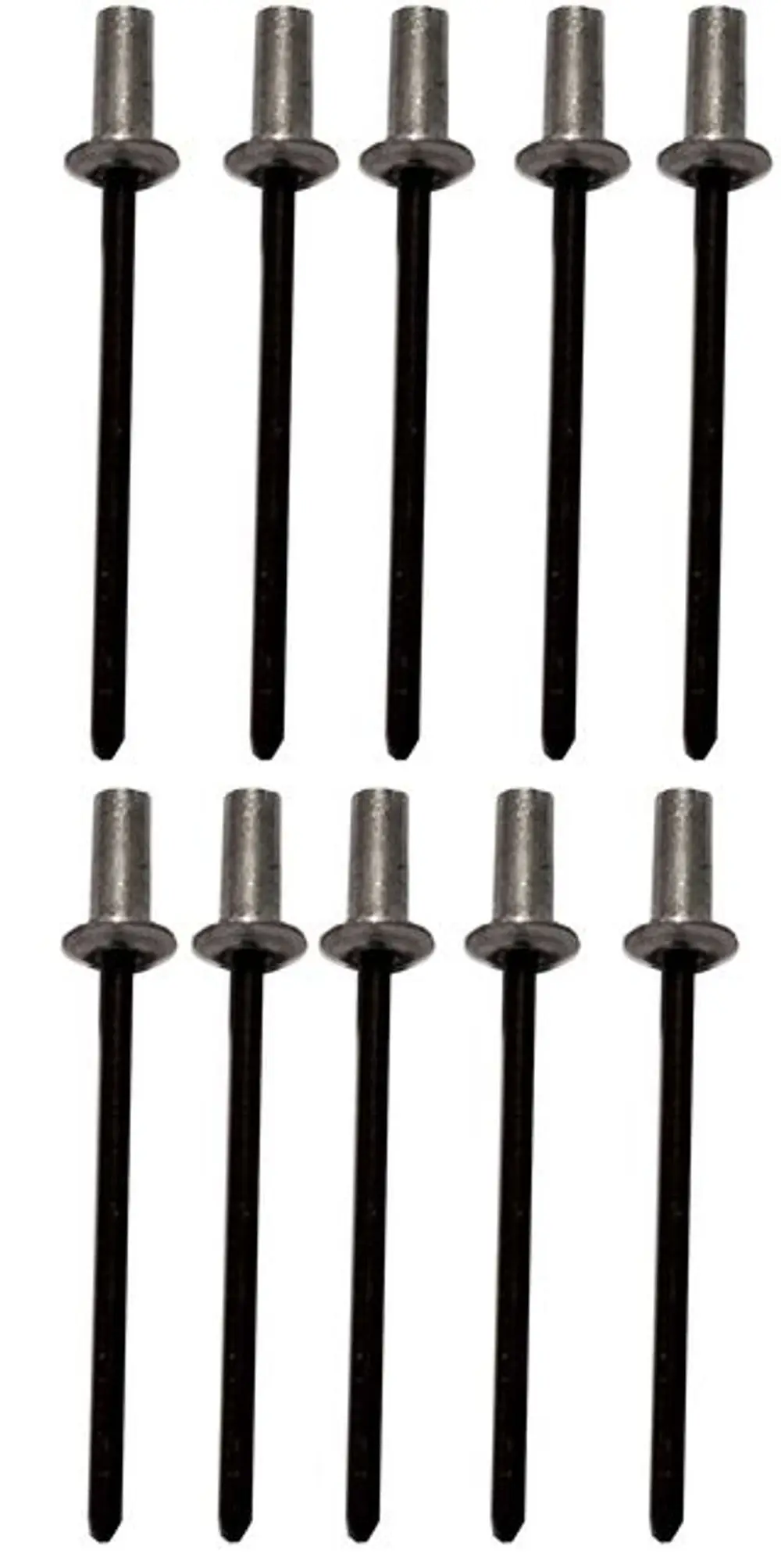 Set von 10 Abdichtenden Blindnieten mit metallischen Köpfen und schwarzen Schaft, hergestellt von Wolf. Ideal für verschiedene Anwendungen in der Bau- und Renovierungsbranche.